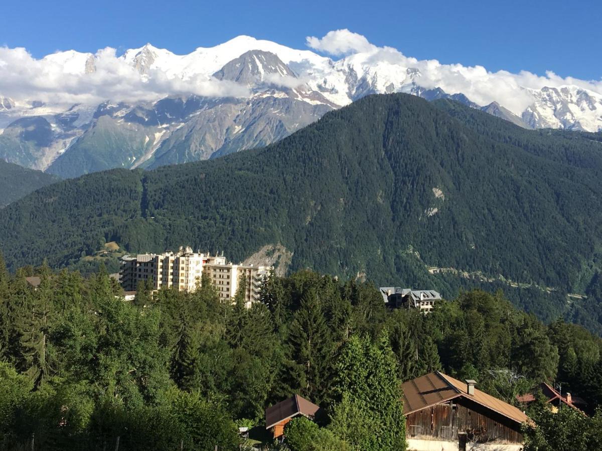 Fizhome Mt Blanc Passy  Exterior foto