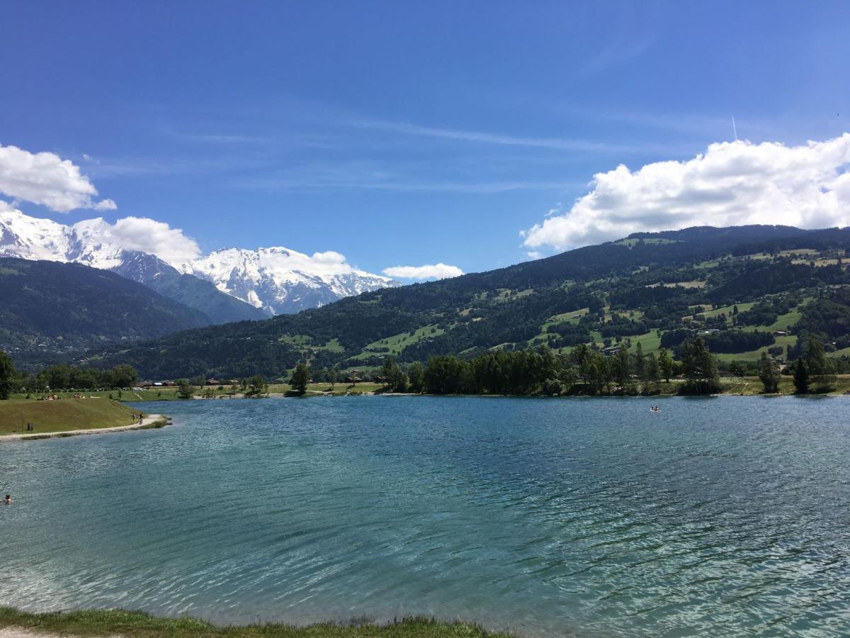 Fizhome Mt Blanc Passy  Exterior foto